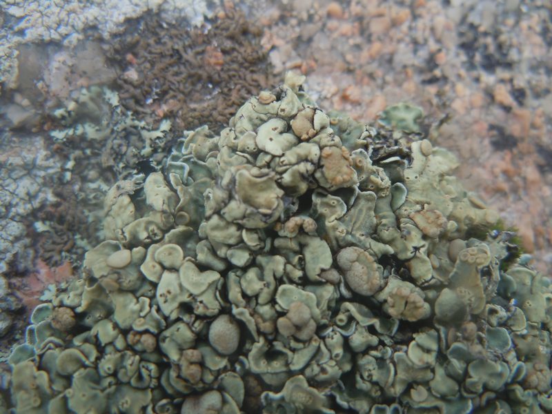..su masso granitico